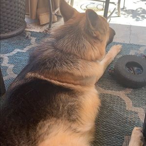 Meet your Posher, Ed